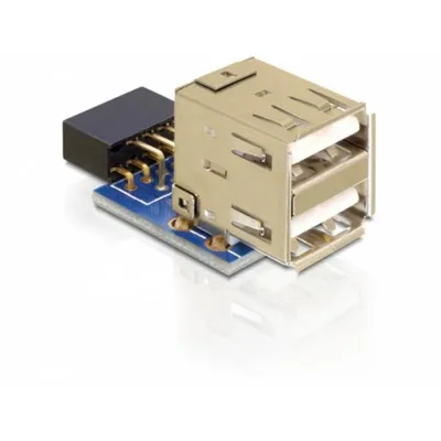 Adapter DeLOCK 1 x 9-pin 2.54 mm zu 2 x USB 2.0-A Schwarz, Blau, Silber
