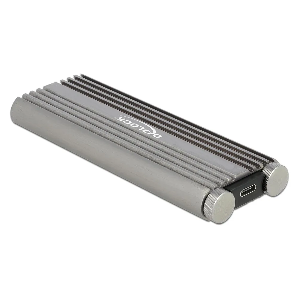 Delock Externes Gehäuse 42001