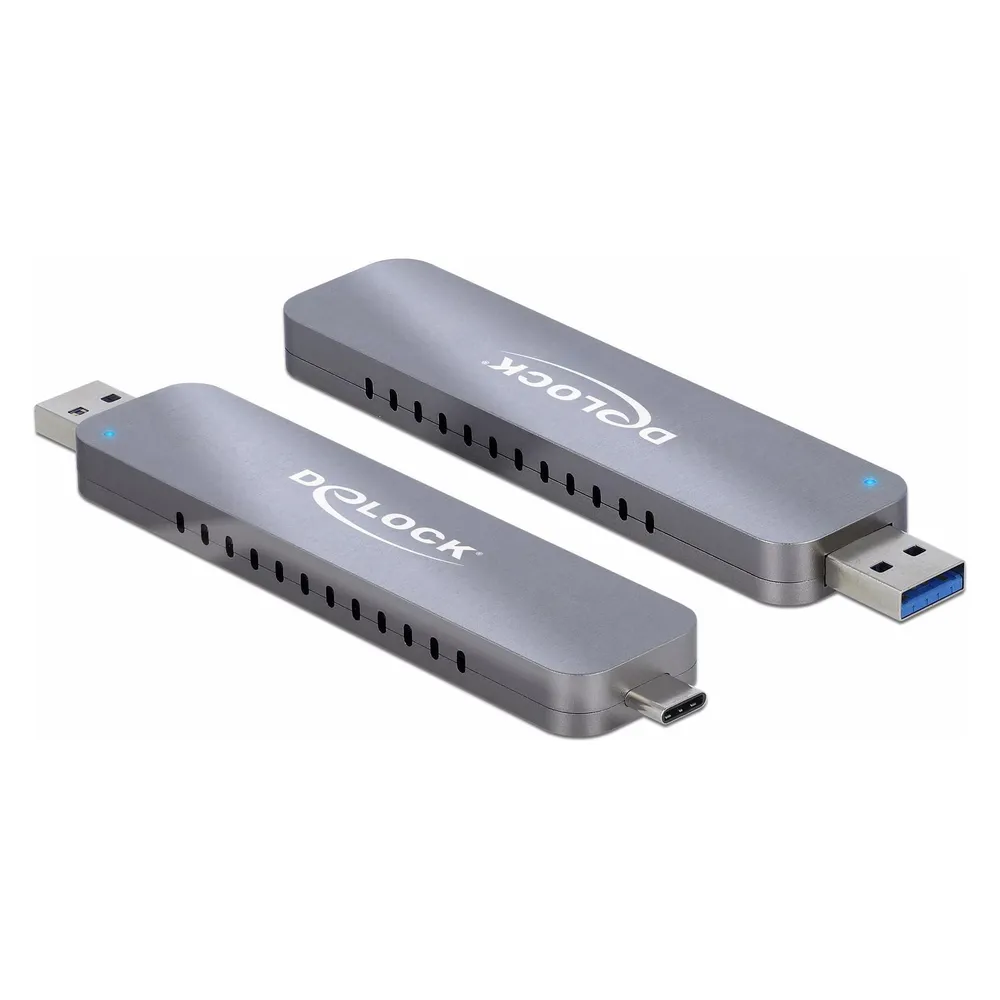 Delock Externes Gehäuse 42616