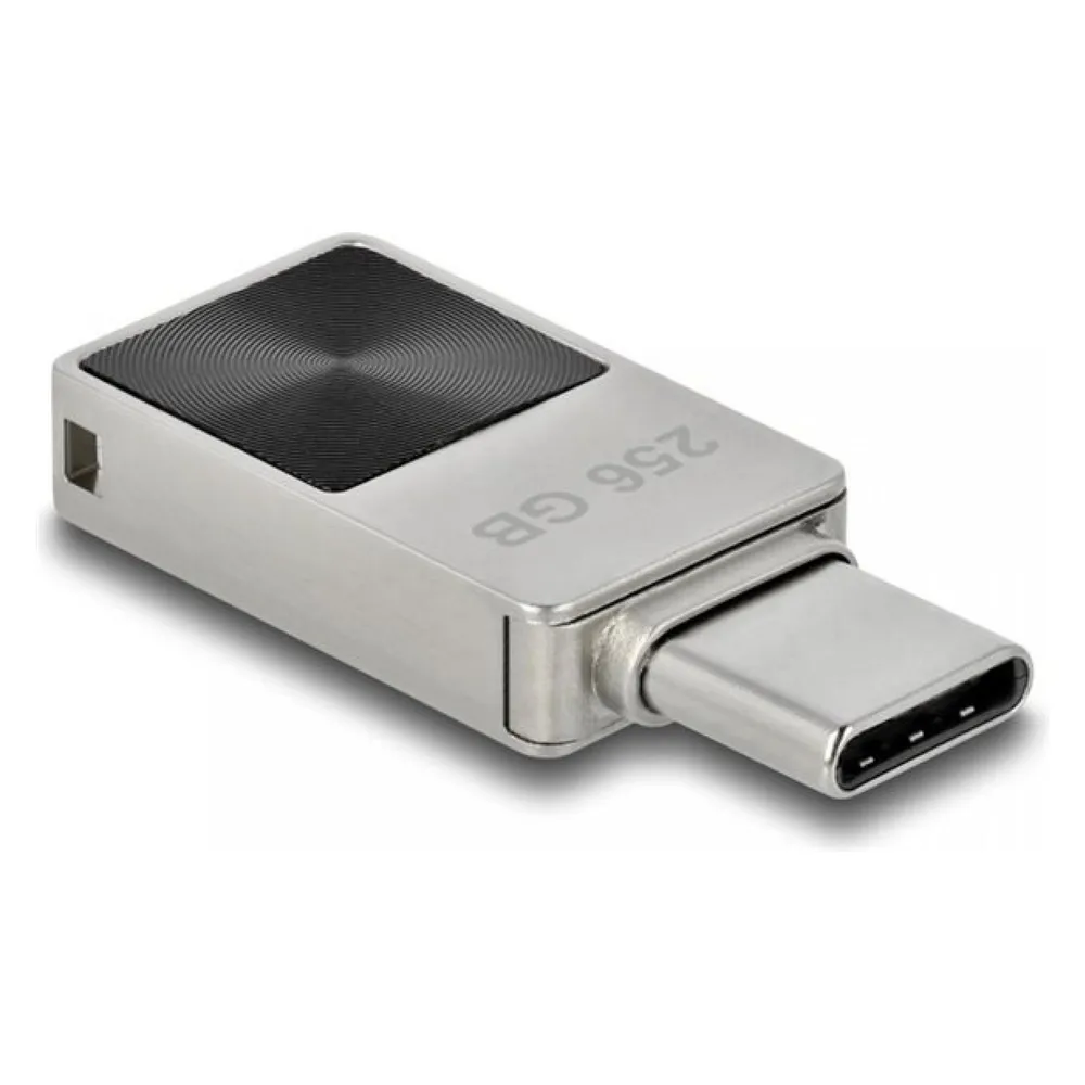 Delock Mini (256 GB, USB-C)