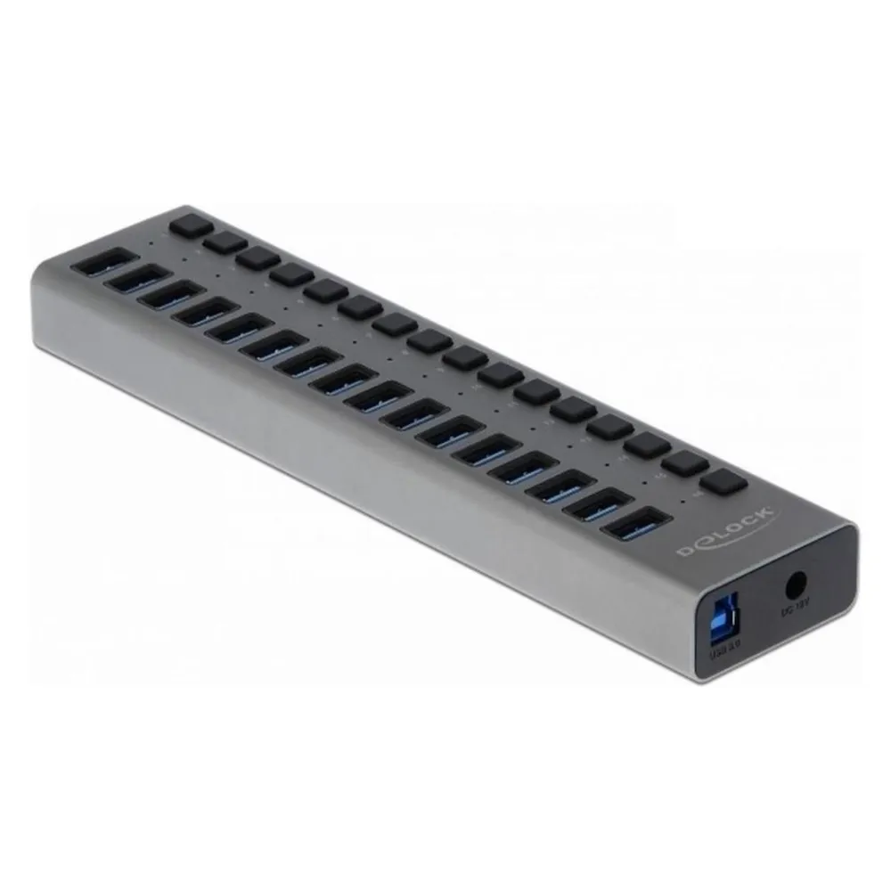 Hub Delock 16 Ports 5 Gbps USB 3.2 Gen 1 Metall mit Schaltern
