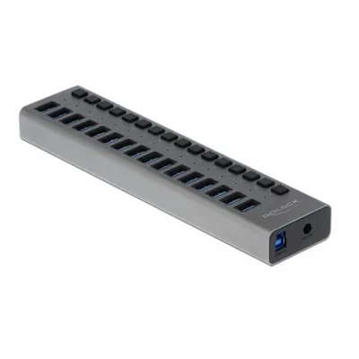 Hub Delock 16 Ports 5 Gbps USB 3.2 Gen 1 Metall mit Schaltern