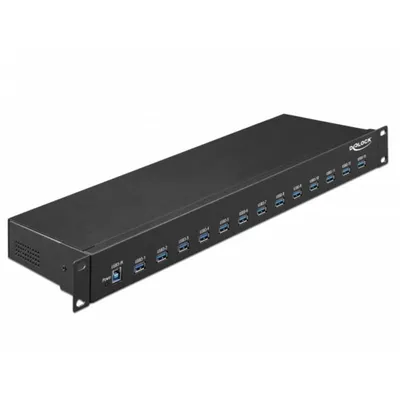 Hub Delock 13 Ports 5 Gbps USB 3.2 Gen 1 Modell 64039 Metall Rackmontage