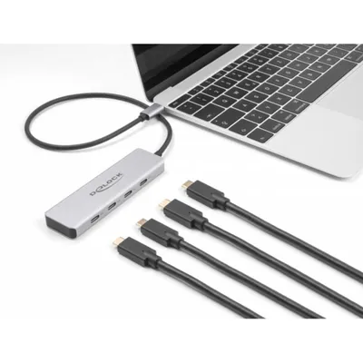 Hub DeLOCK 4 Ports USB Type-C 10 Gbps mit 35 cm Kabel Aluminium Grau