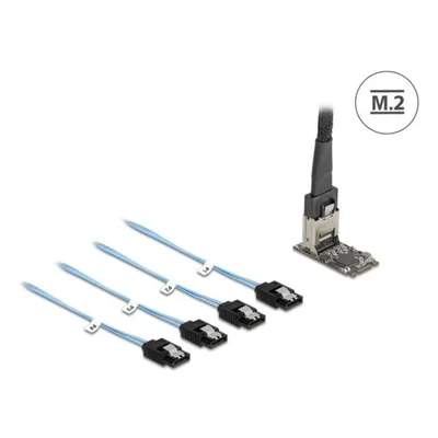 Kabel Delock 64260 M.2 Mini-SAS 4x SATA Hot-Swap 1 m