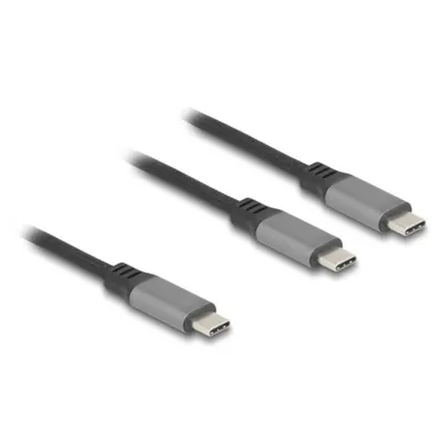 USB-C Kabel DeLock 81271 1.2 m Power Delivery 100W Y-Splitter Schwarz Grau