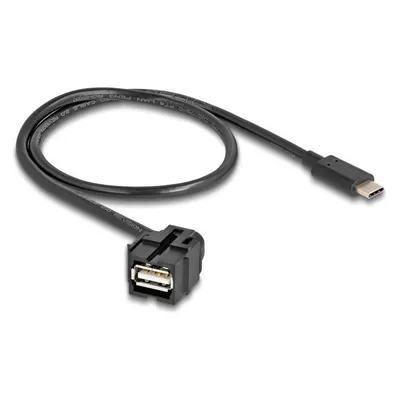 Delock Keystone Modul USB 2.0 A Buchse zu USB Type-C Stecker 250° (0.50 m, USB 2.0)