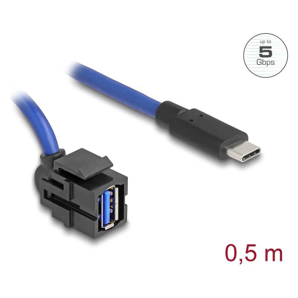 Delock Keystone Modul USB 5 Gbps A Buchse zu USB Type-C™ Stecker mit Kabel