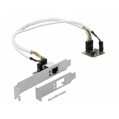 Netzwerkkarte DeLOCK 95265 Mini PCIe Gigabit Ethernet 1000 Mbit/s abnehmbar