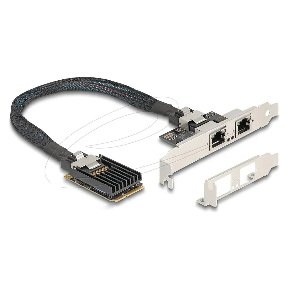 Tarjeta de Red Delock 95280 Mini PCI Express 4 Gbit/s 2x RJ-45 Low Profile
