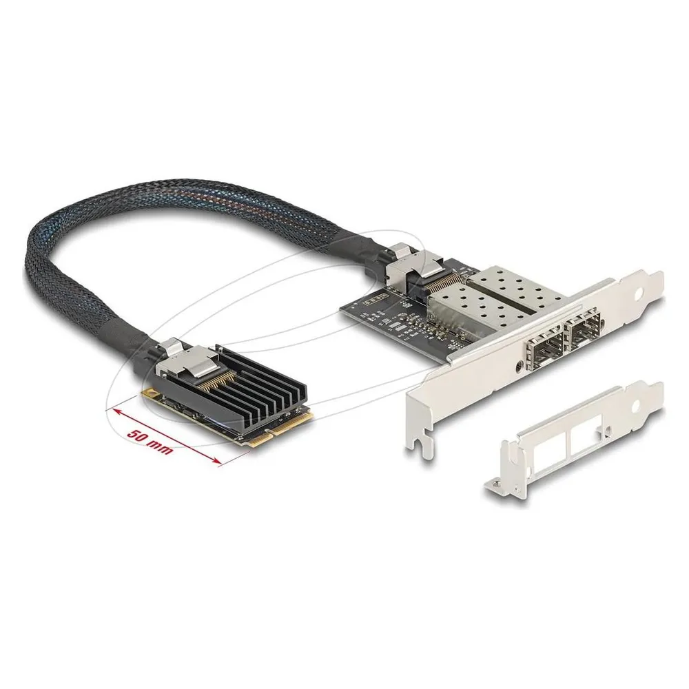 Tarjeta de Red DeLock 95281 Mini PCI Express 2x SFP Gigabit Low Profile