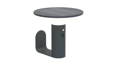 Die Bold Solar-Wandleuchte mit PIR, Gun Grey