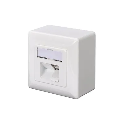 Digitus DN-9007-S-1 Steckdose 2 x RJ-45 Weiß
