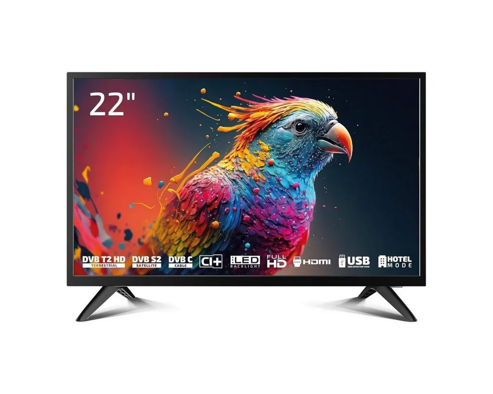 Dyon Enter 22 PRO X2 LED-Fernseher (55 cm/22 Zoll, Full HD, Nein, 24" Full HD TV, Triple Tuner, CI+, EPG, Hotelmodus)