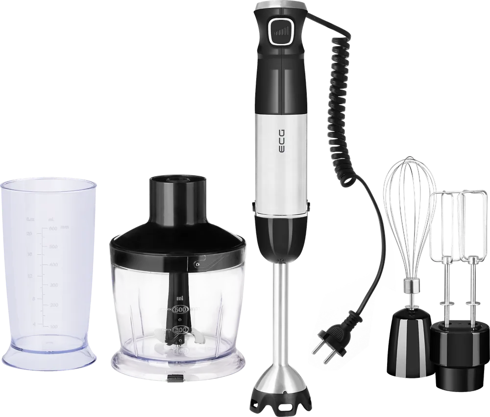RM 800 Stabmixer-Set