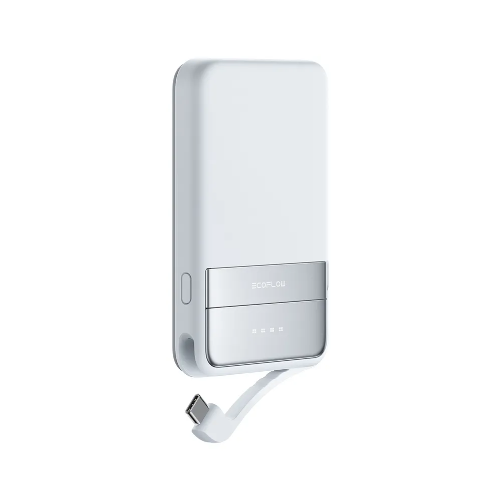 EcoFlow Rapid 5000 - Powerbank - Blau
