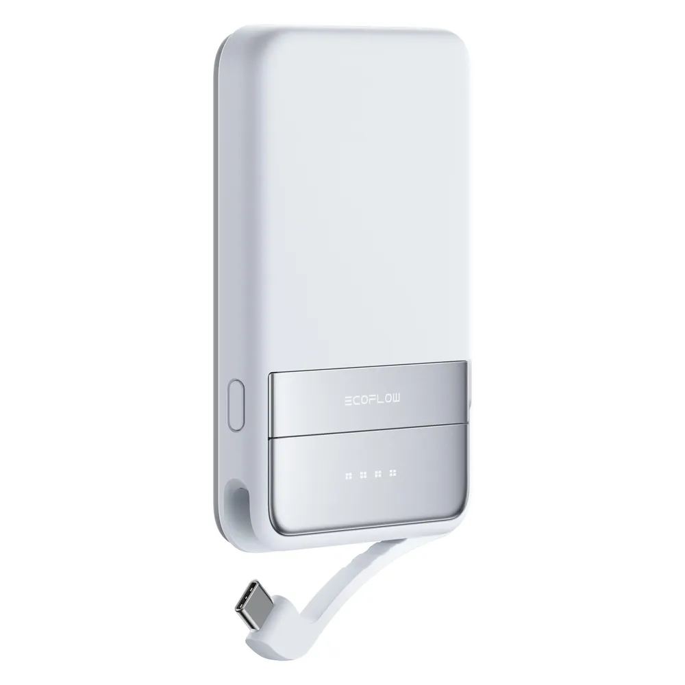 EcoFlow Rapid 5000 - Powerbank - Blau