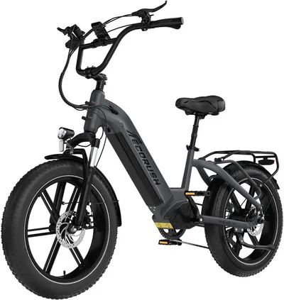 ECORUSH E-Bike Mountainbike Elektrofahrrad 20*4,0 Zoll Pedelec StVZO mit 15,6Ah Akku Max 70-120km, 7 Gang shimano shimano Schaltwerk, Kettenschaltung, Heckmotor, 748,8 Wh, Damen/Herren E-Mountainbike mit Pumpe, Schloss