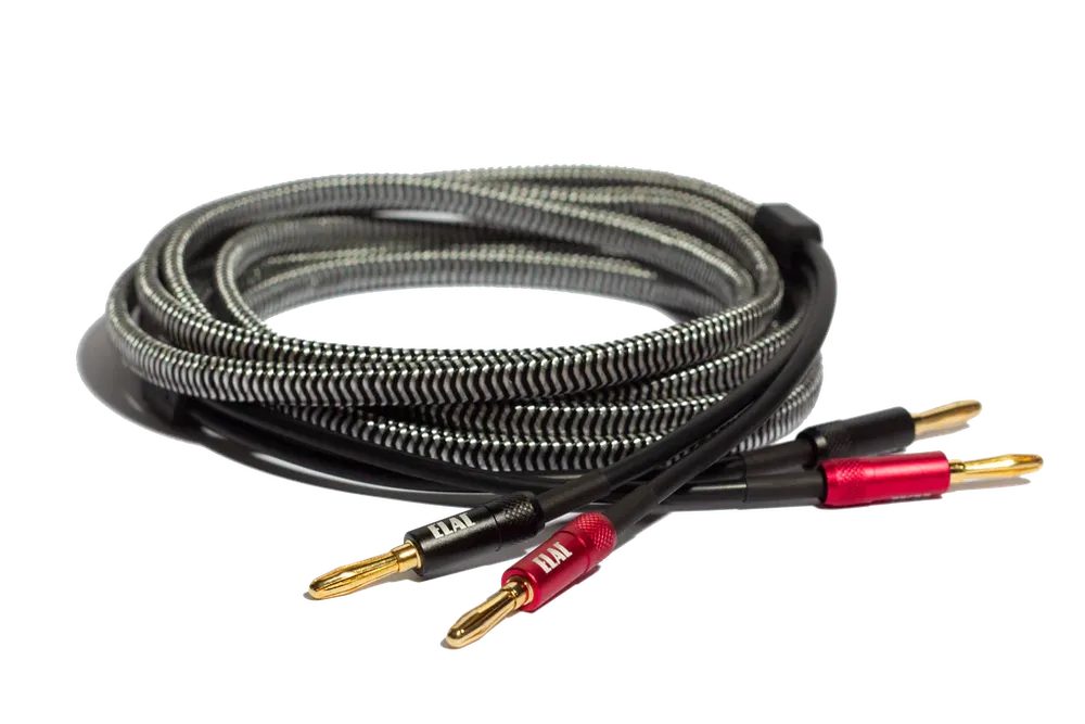 Sensible Lautsprecher Kabel 3 m SPW-10ft