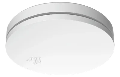 Elro FS4610 (10 Jahre)