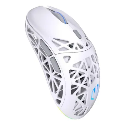 Maus ENDORFY LIV Plus Wireless Bluetooth 26000 DPI Weiß RGB 6 Tasten