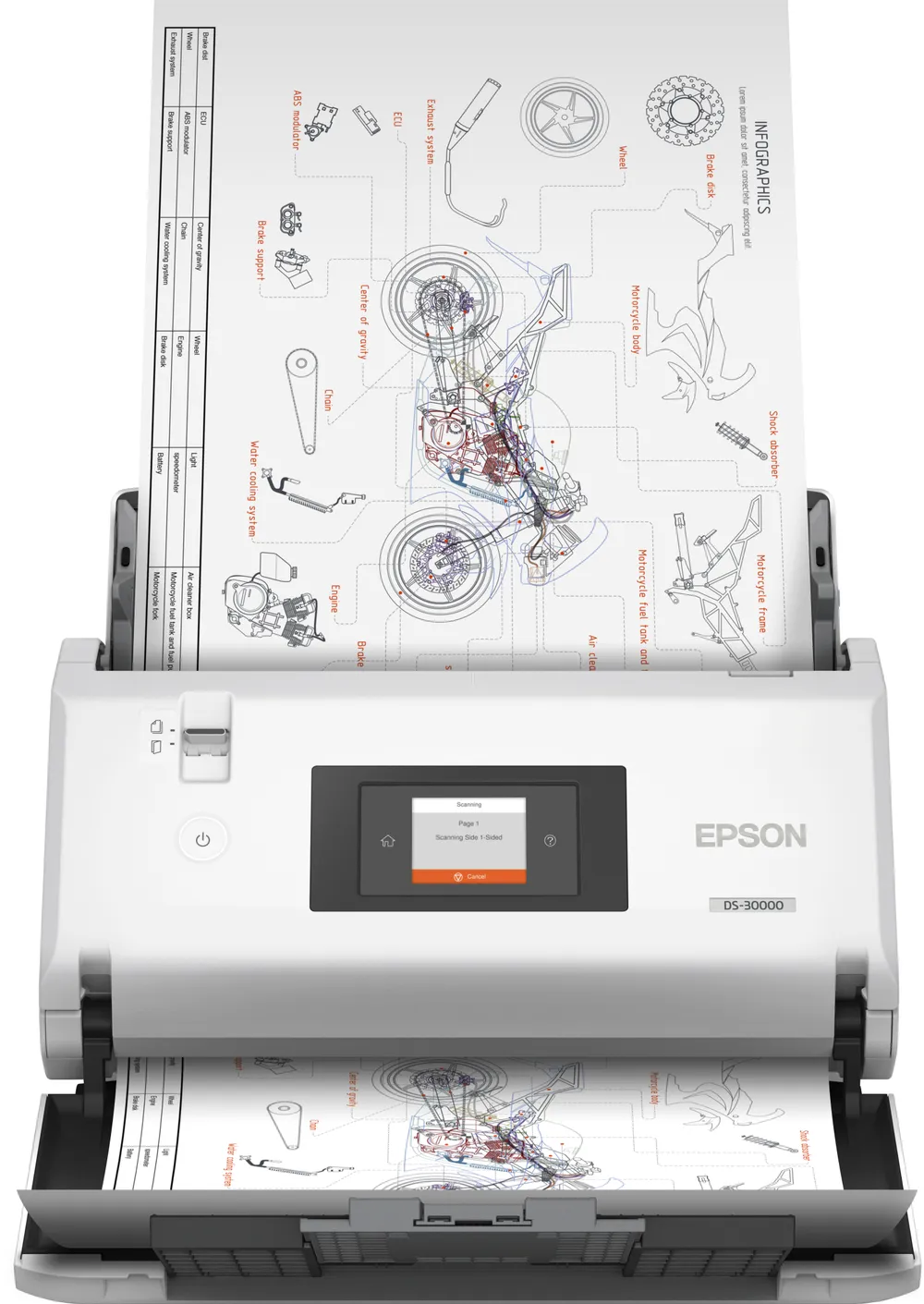 Epson WorkForce DS-30000 | b11b256401 | Dokumentenscanner - Kontaktbildsensor (CIS)