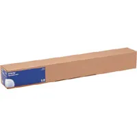 Fotopapier Gloss Epson 111,8 cm x 30,5 m 250 g/m²