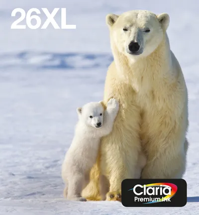 Tintenpatrone Epson Polar Bear Multipack 4-farbig 26XL EasyMail