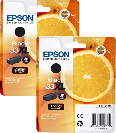 Epson 33XL Patrone Schwarz Doppelpack