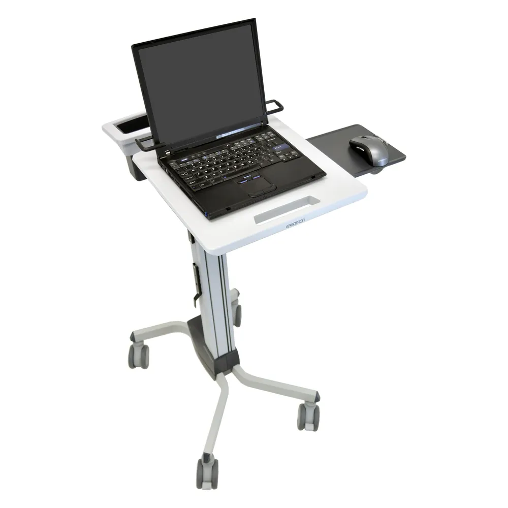 Ergotron Neo-Flex