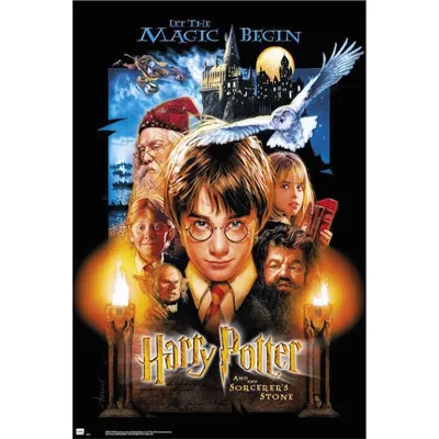 Erik Maxi Poster Harry Potter 1 91,5x61cm