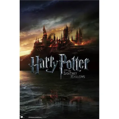 Erik Maxi Poster Harry Potter 2 91,5x61cm