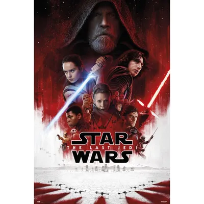 Erik Maxi-Poster Star Wars VIII, ein Blatt 91,5 x 61 cm