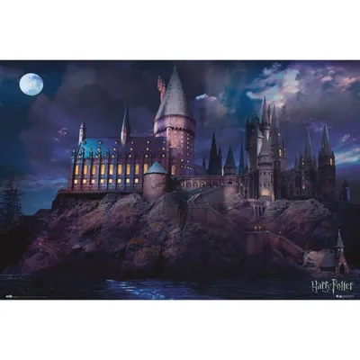 Erik Maxi Poster Harry Potter Hogwarts 91,5x61cm