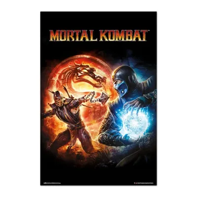 Erik Maxi Poster Mortal Kombat 9 Videospiel 91,5 x 61 cm