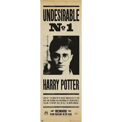 Erik Harry Potter Unerwünschtes Türposter Nr. 1 158x53cm