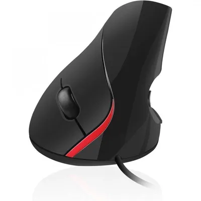 Ewent EW3156 Maus USB Typ-A Optisch 1000 DPI