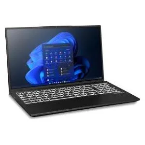 Exone go Premico 1580 X13 39,6cm (15,6") i7-1355U 16GB 500GB W11P
