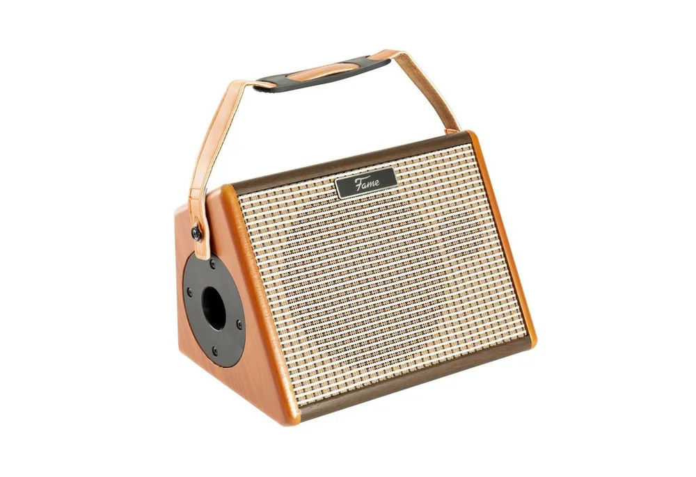 FAME Verstärker (Akustikgitarrenverstärker, integrierter Akku, Bluetooth)