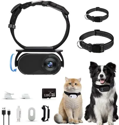 FELIXLEO Überwachungskamera 128G Black Cat Camera Collar Pet Camera with Camera Clips
