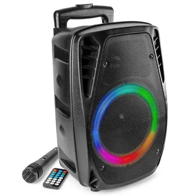 Lautsprecher Fenton Tragbar Bluetooth 8" 300W mit Mikrofon, USB, MicroSD und LED