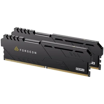 Forgeon Cyclone PLUS V2 DDR4 3200 MHz 32 GB 2 x 16 GB CL16 Schwarz