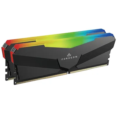 Forgeon Cyclone PRO RGB DDR5 6000 MHz 32 GB 2 x 16 GB CL30 Schwarz
