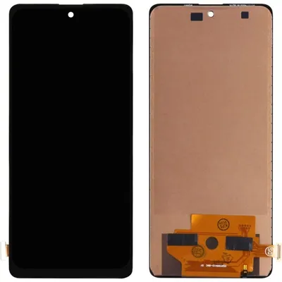 Display Incell Samsung Galaxy Note 10 Lite N770F Ersatz