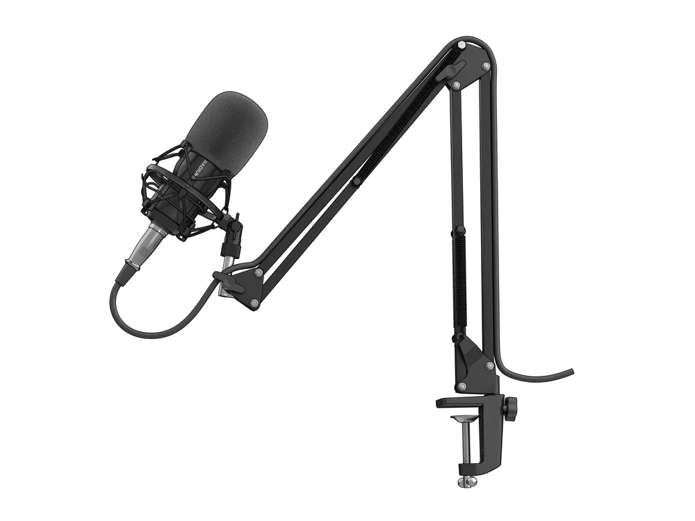 Radium 300 XLR Mikrofon, Schwarz