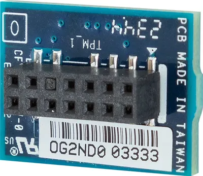 Netzwerkkarte Gigabyte CTM010 TPM 2MB/s Einziger Port Kompakt