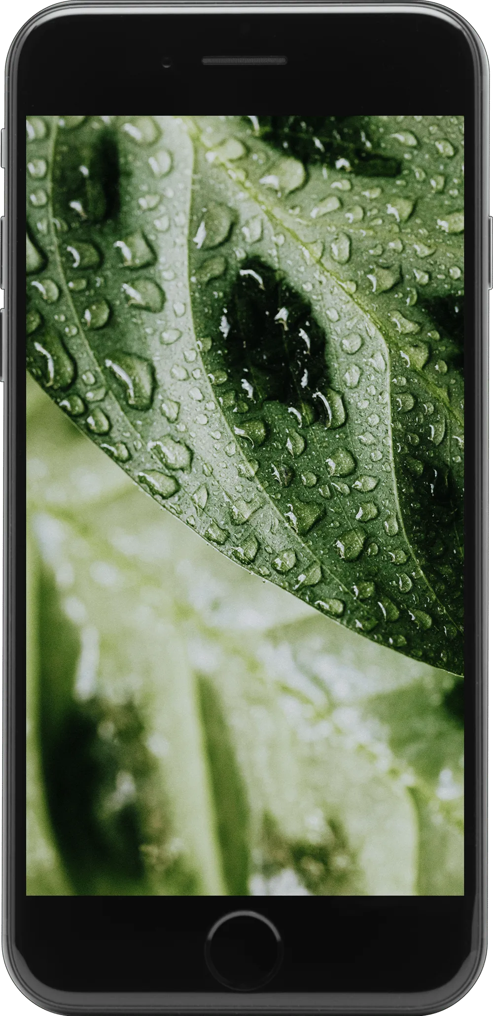 Refurbished Apple iPhone SE (2022) 64GB Mitternacht Premium Smartphone
