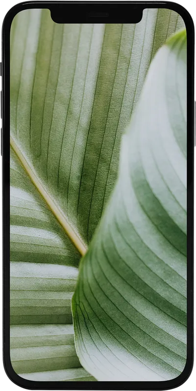 Refurbished iPhone 12 64GB Schwarz