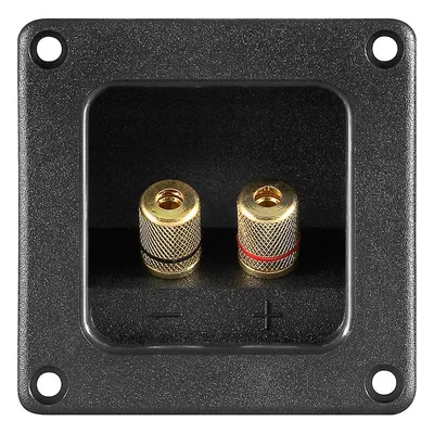 Goobay 2er-Set Gold Square Lautsprecherklemmen Schwarz