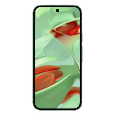 Google Pixel 9 256GB Wintergreen